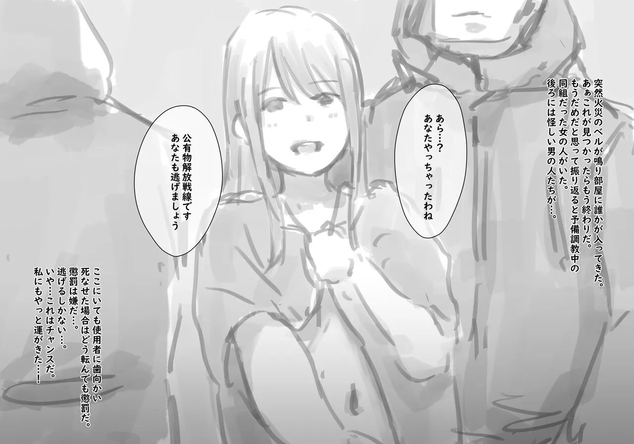 公有物少女3.5〜国から人権を剥奪され物として扱われる女の子の話〜特別厳重懲罰番外編 Page.28