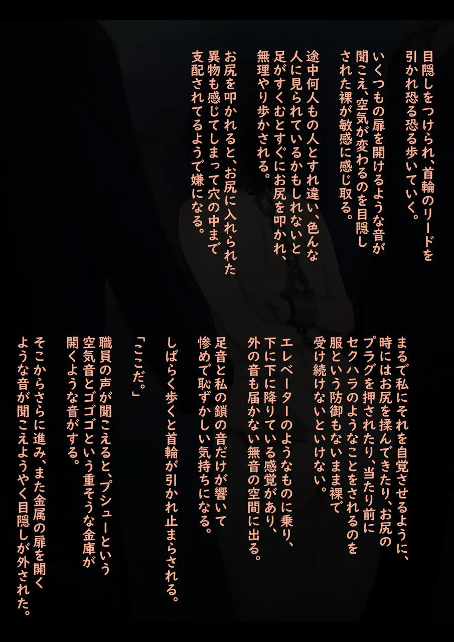 公有物少女3.5〜国から人権を剥奪され物として扱われる女の子の話〜特別厳重懲罰番外編 Page.14