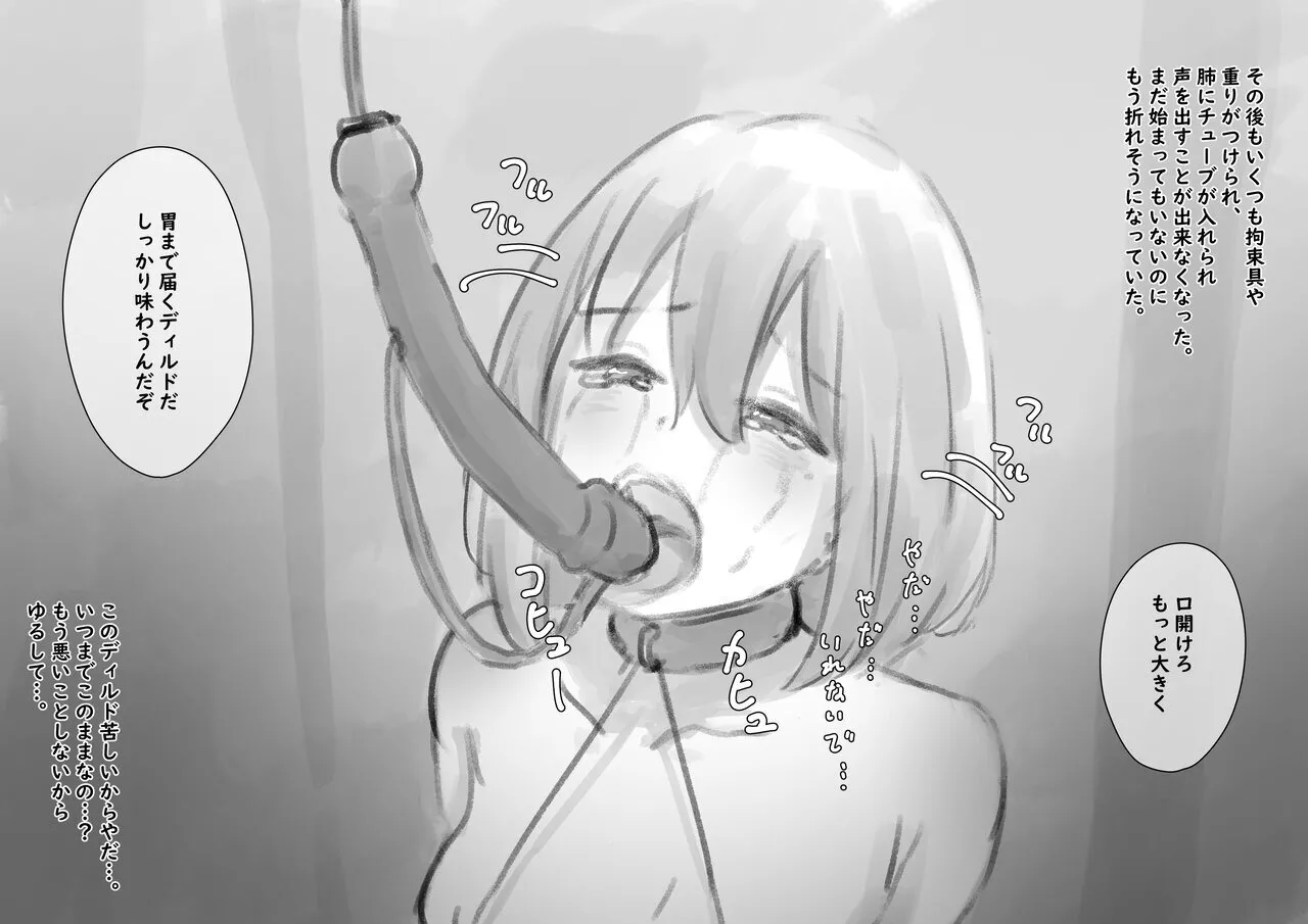 公有物少女3.5〜国から人権を剥奪され物として扱われる女の子の話〜特別厳重懲罰番外編 Page.239