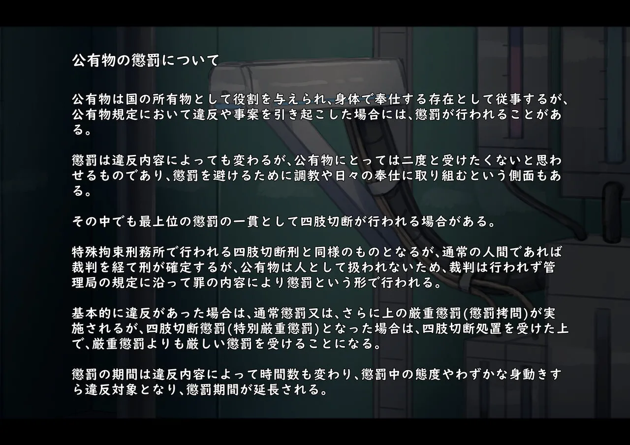 公有物少女3.5〜国から人権を剥奪され物として扱われる女の子の話〜特別厳重懲罰番外編 Page.45