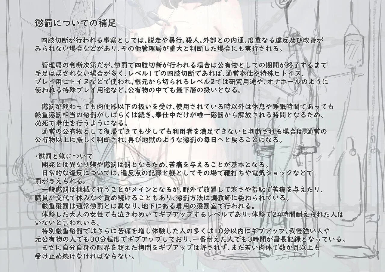 公有物少女3.5〜国から人権を剥奪され物として扱われる女の子の話〜特別厳重懲罰番外編 Page.49