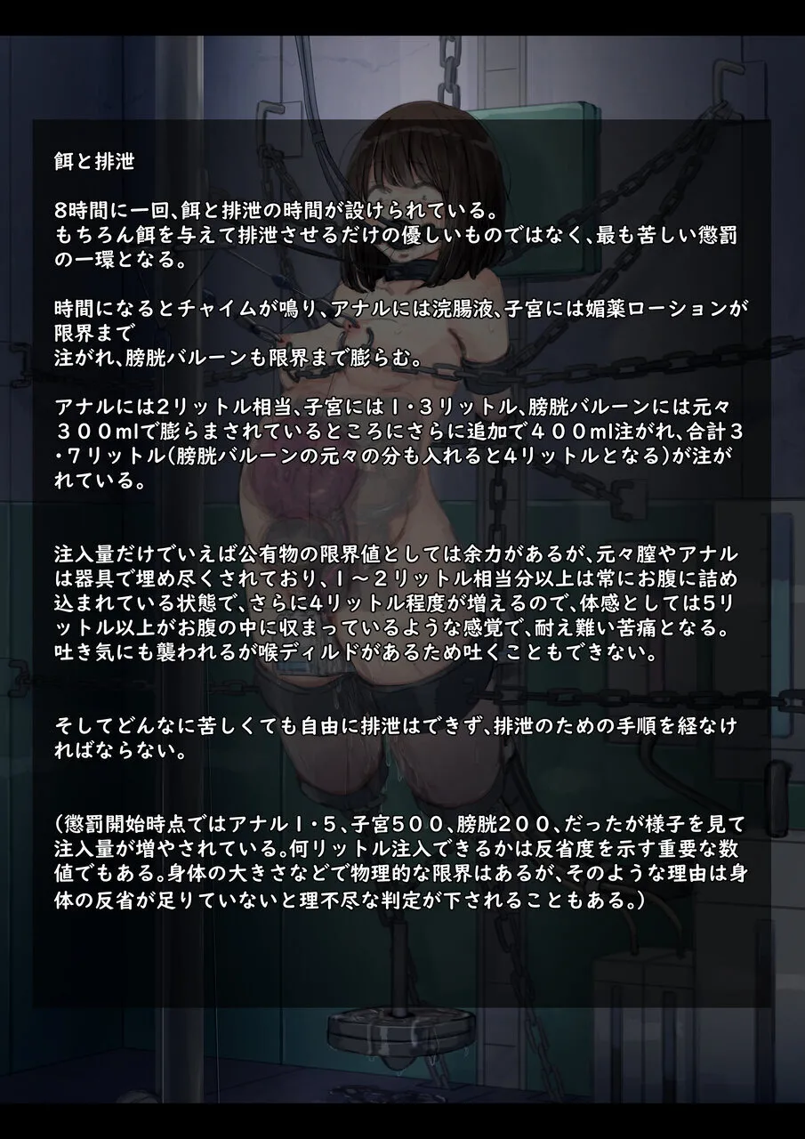公有物少女3.5〜国から人権を剥奪され物として扱われる女の子の話〜特別厳重懲罰番外編 Page.81