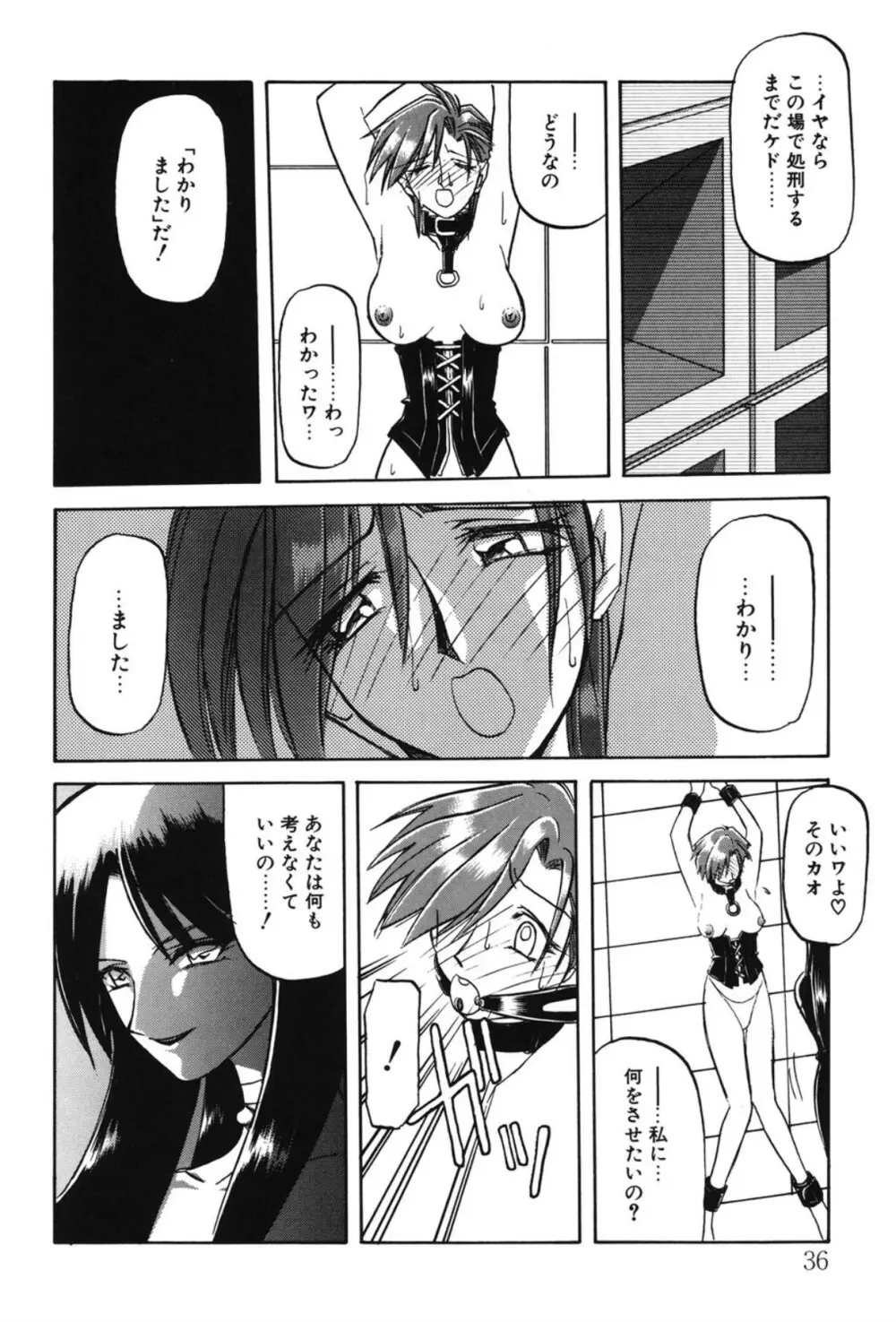 Sein ザイン Page.29