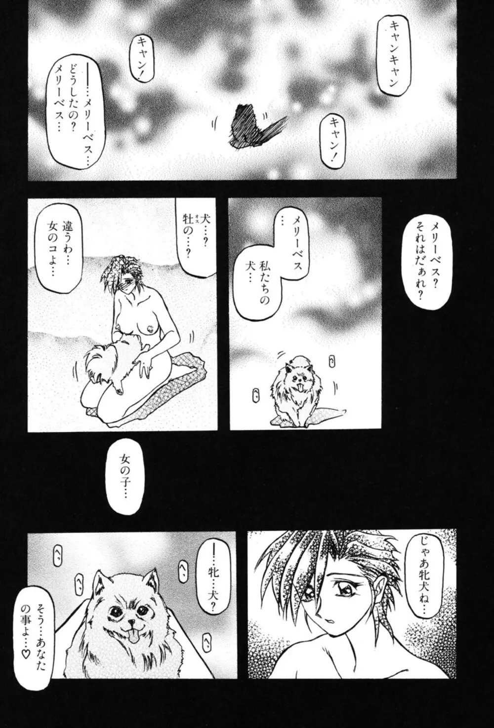 Sein ザイン Page.39