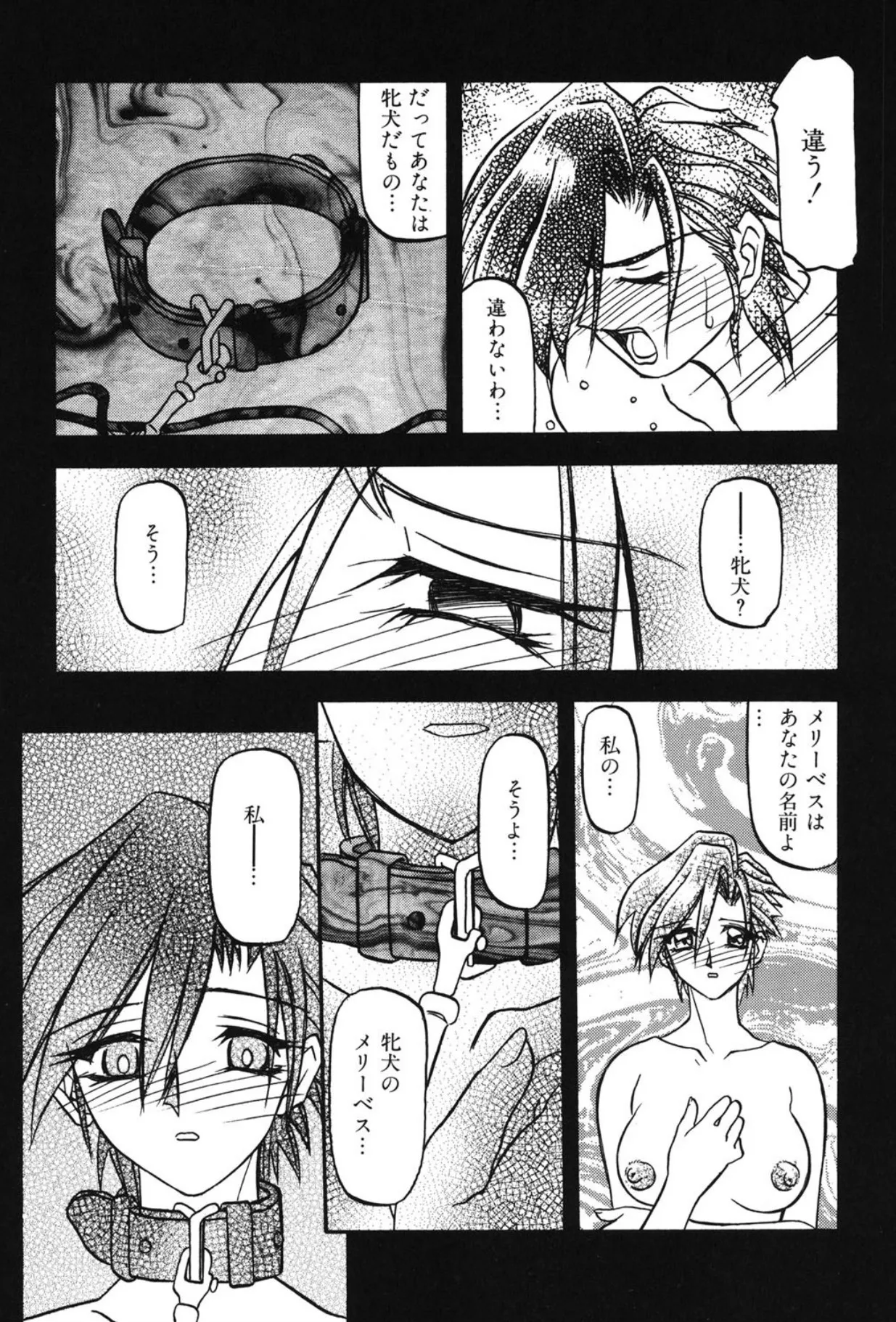Sein ザイン Page.40