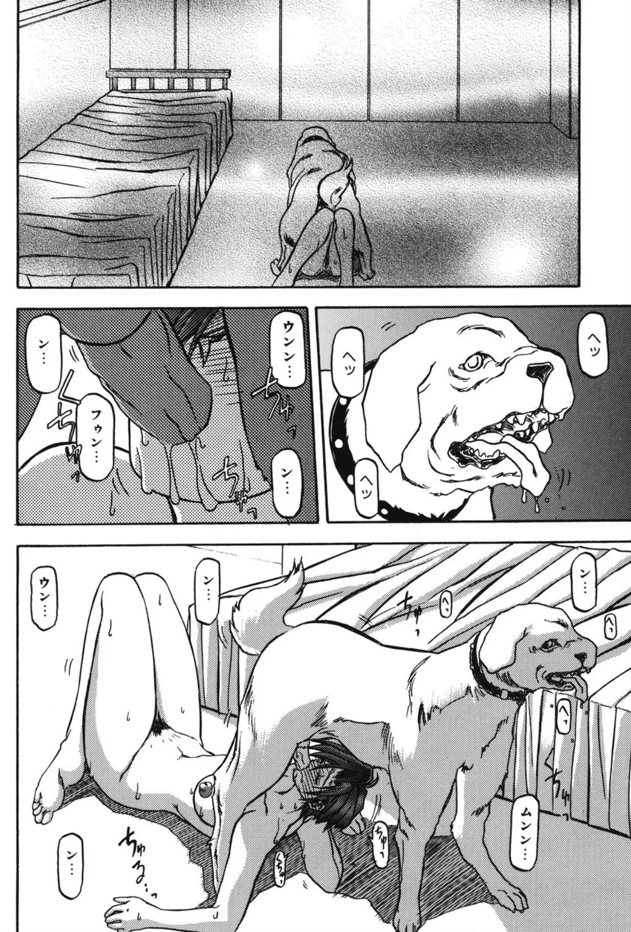 Sein ザイン Page.47