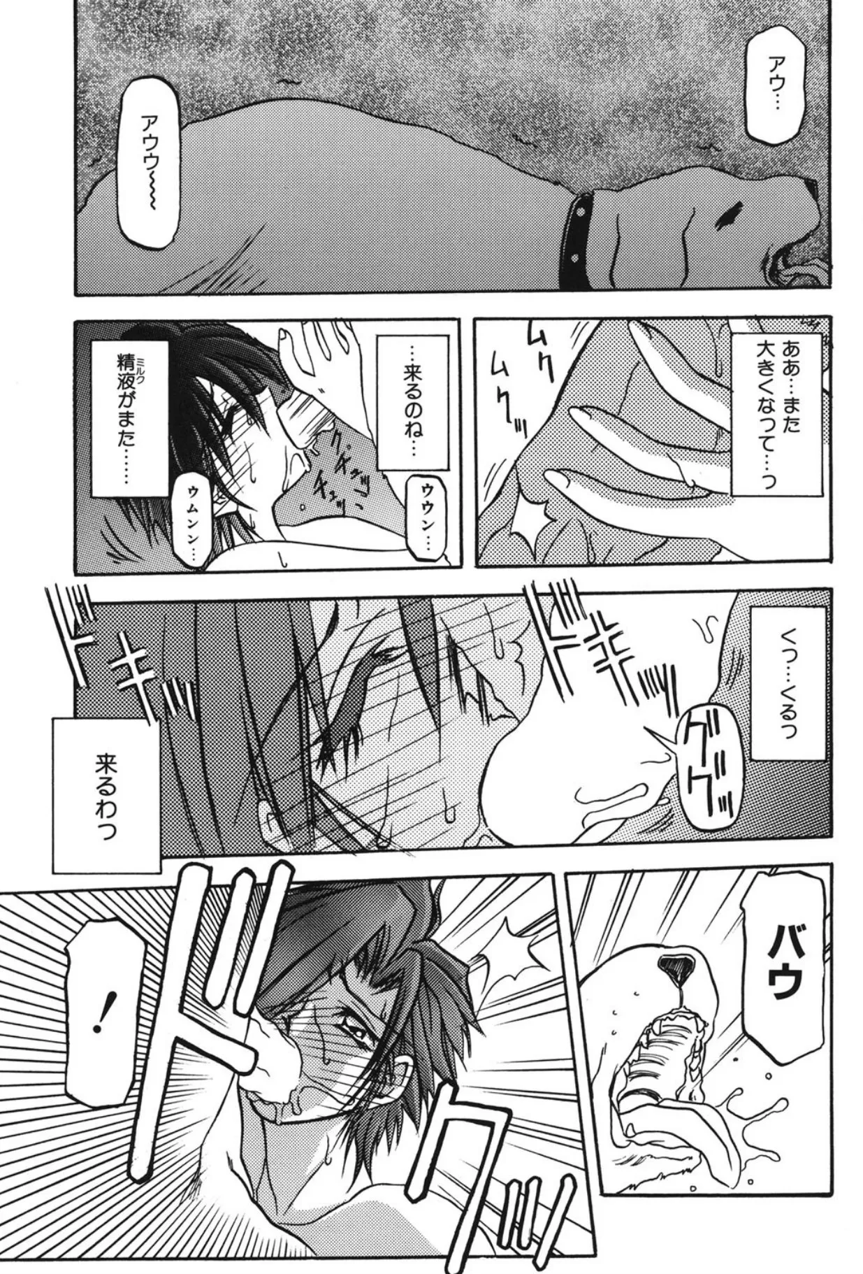 Sein ザイン Page.50