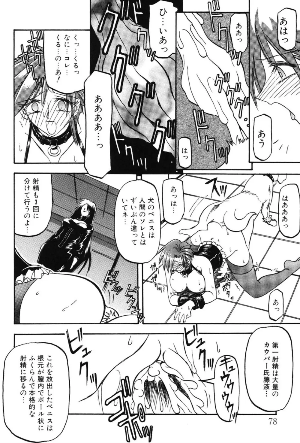 Sein ザイン Page.71