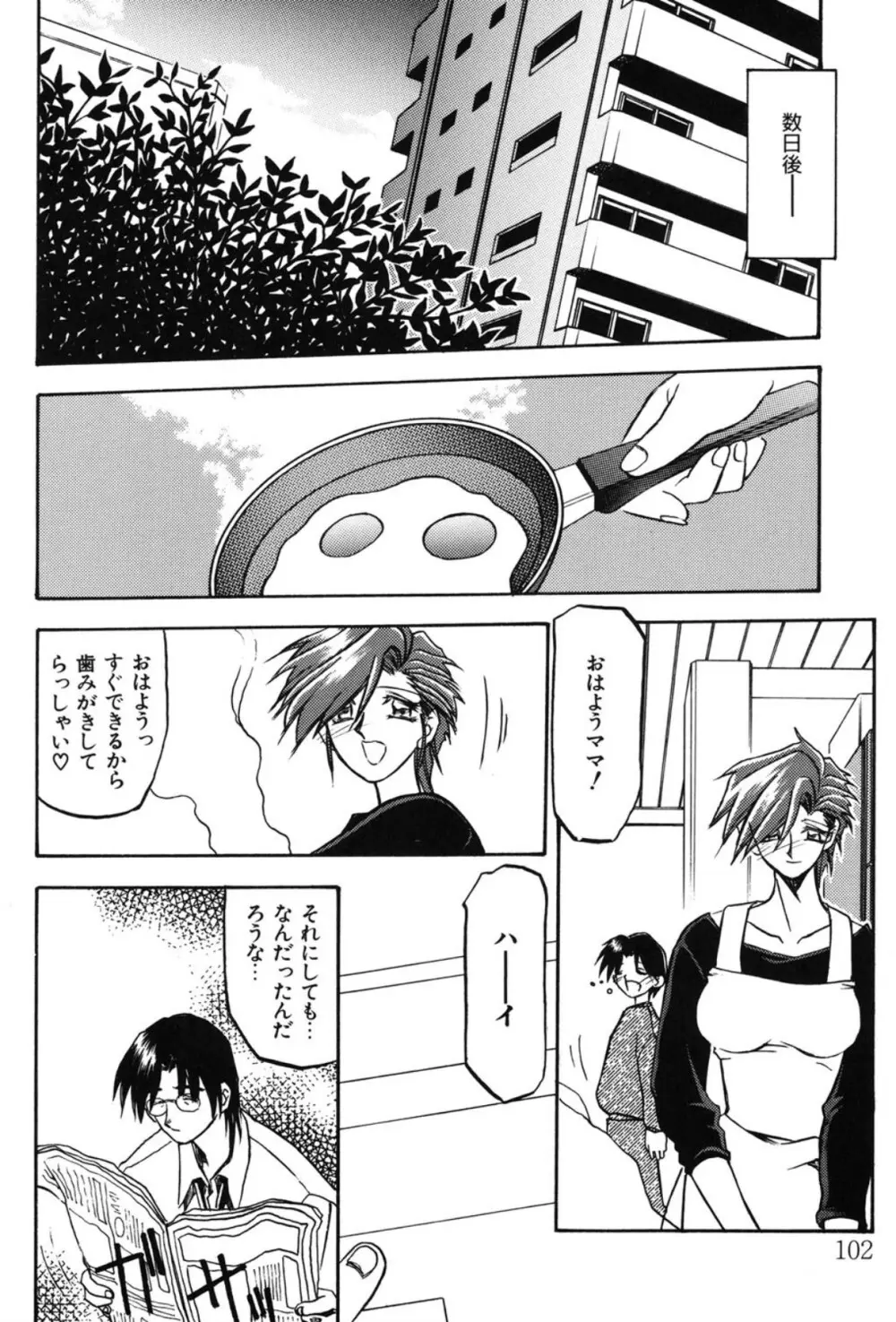 Sein ザイン Page.95