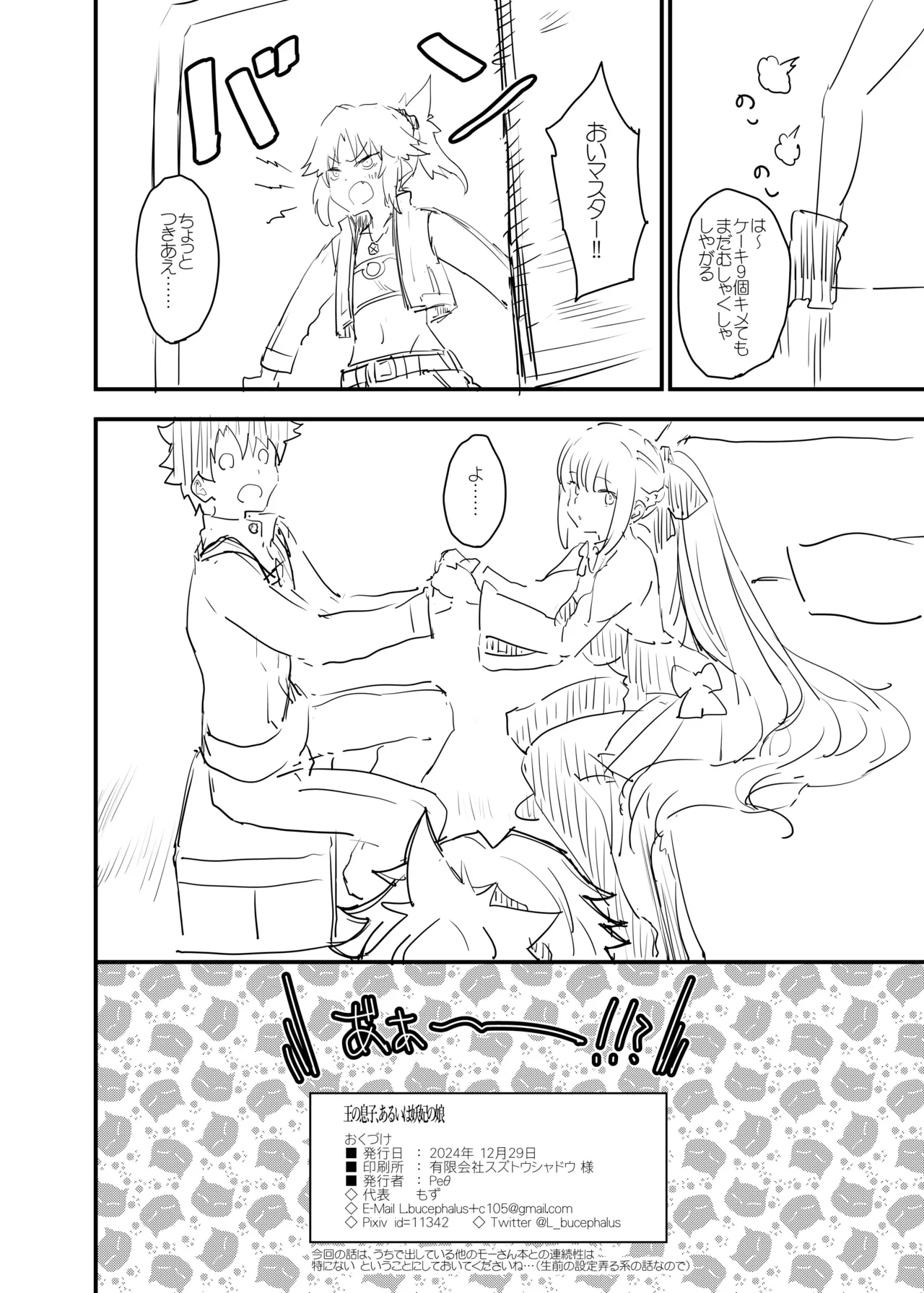 王の息子、あるいは妖妃の娘 Page.27