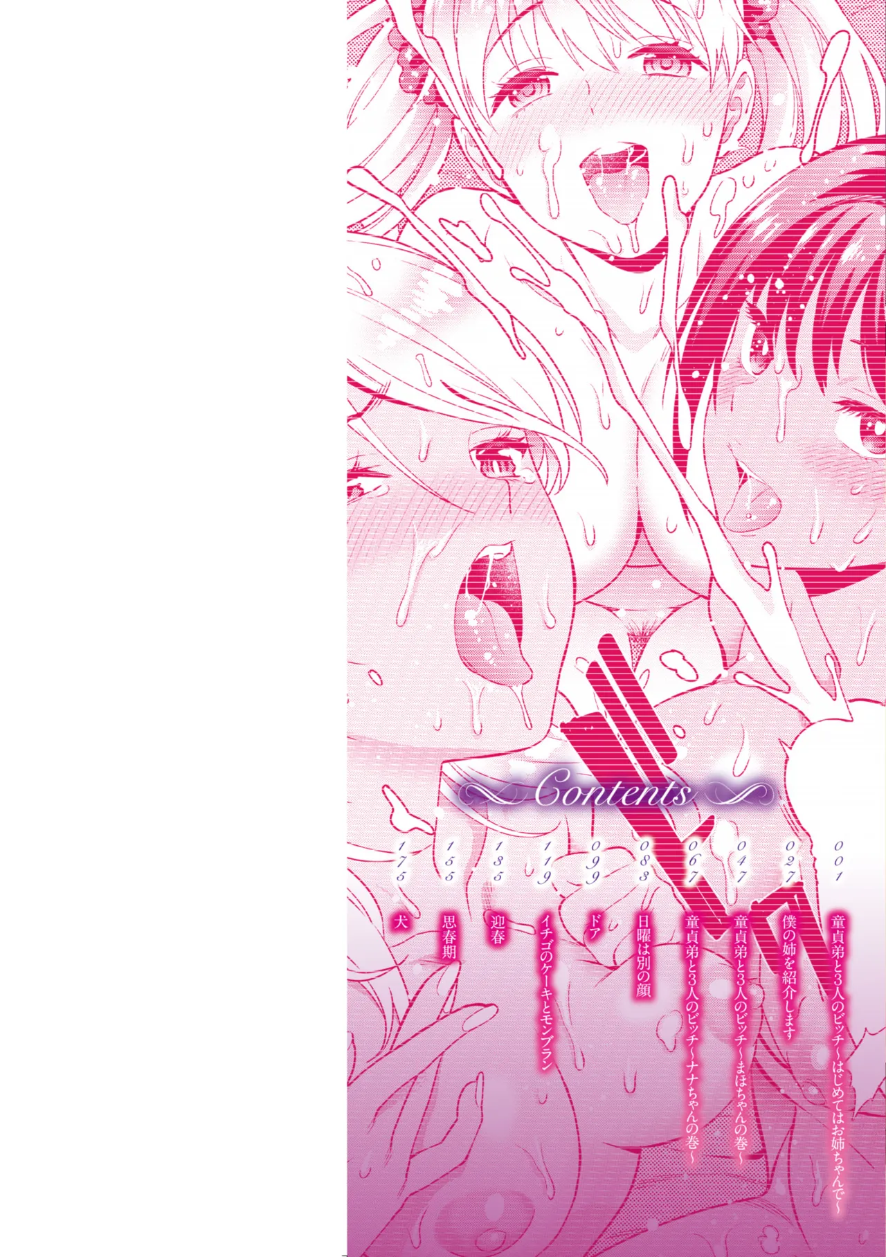 童貞弟とビッチ姉 Page.2