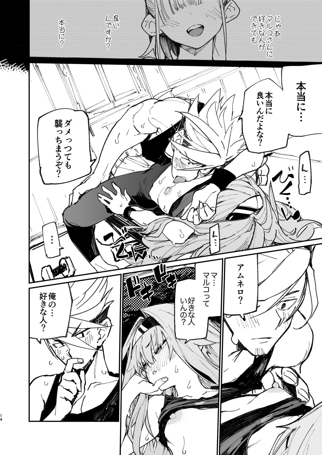 AMNERO 2 Page.13