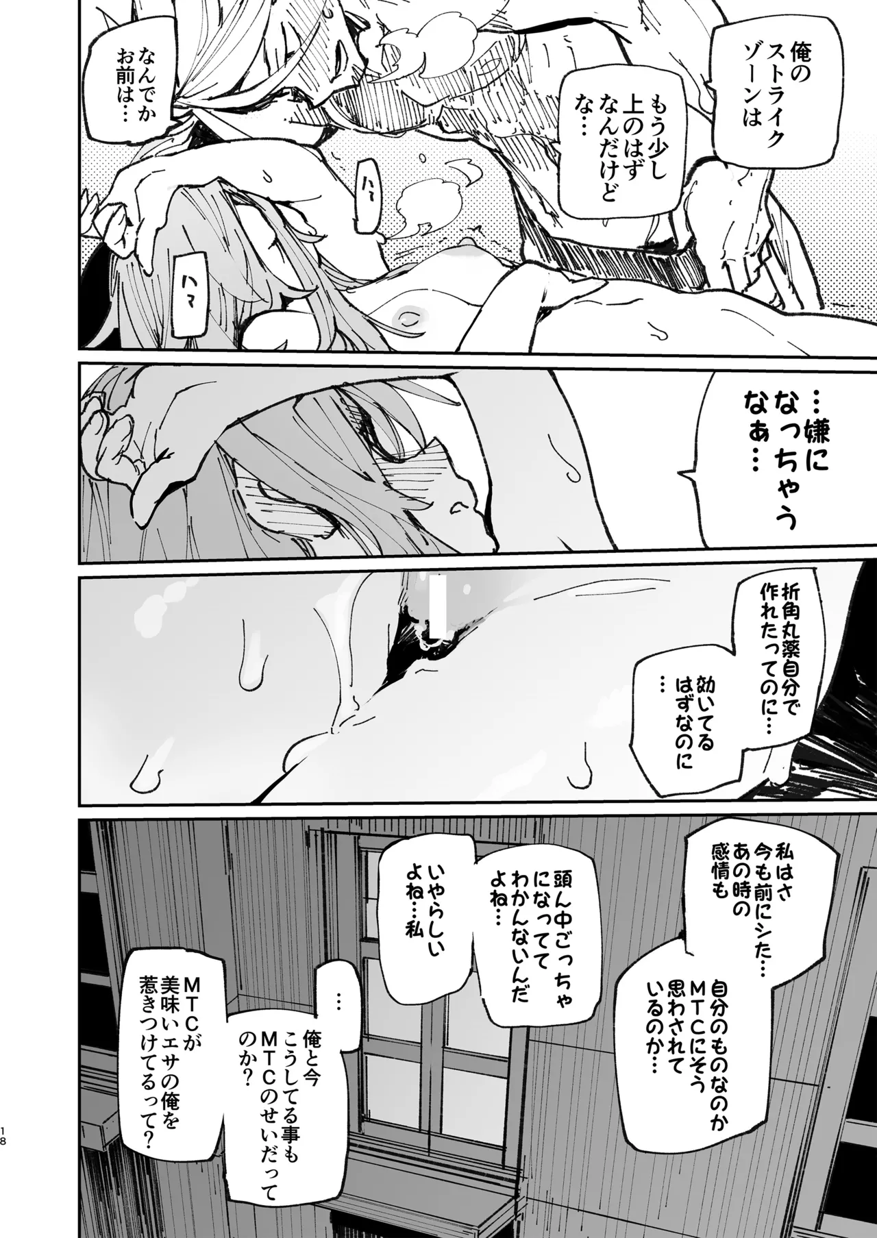 AMNERO 2 Page.17